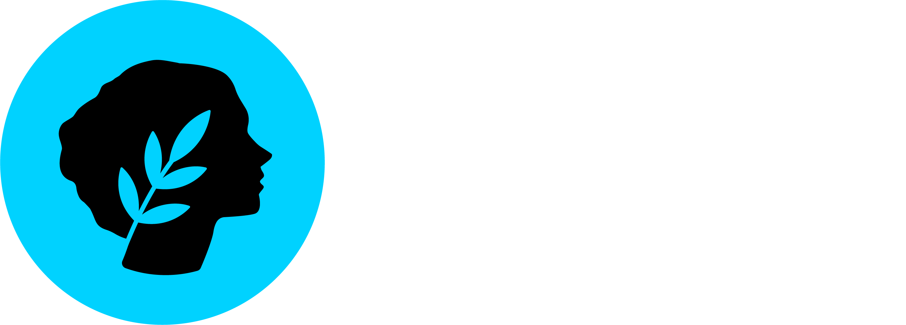 https://www.metis.io/